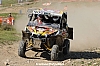 DSC_6868.JPG DSC_6868.JPG