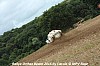 orthez_2015_cma (523).JPG