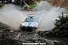 DSC_7010.JPG DSC_7010.JPG