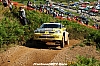 DSC_7128.JPG DSC_7128.JPG