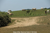 orthez_2018_cpi_140.JPG orthez_2018_cpi_140.JPG