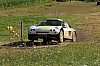 DSC_0993.jpg DSC_0993.jpg