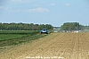 gatinais 2022 CPI_2567.JPG gatinais 2022 CPI_2567.JPG