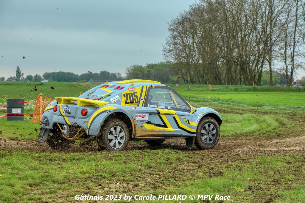 gatinais_2023 (265).jpg