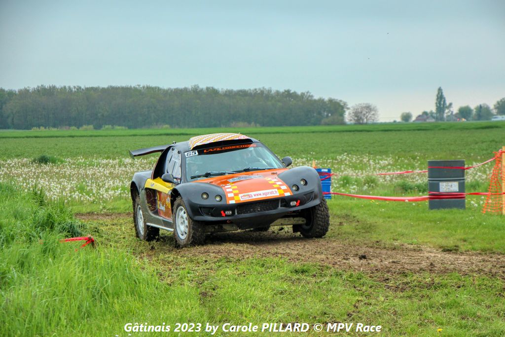 gatinais_2023 (282).jpg