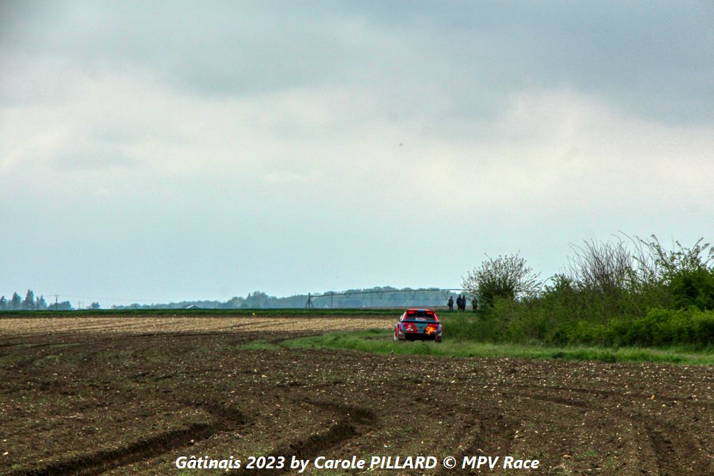 gatinais_2023 (480).jpg