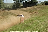 IMG_8772.JPG