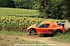 IMG_8924.JPG