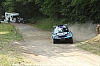 IMG_4137.JPG