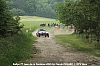 IMG_4801.JPG