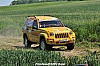 DSC_1133.JPG DSC_1133.JPG