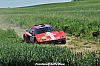 DSC_1142.JPG DSC_1142.JPG