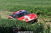 DSC_1144.JPG DSC_1144.JPG