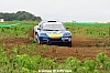 DSC_4493.JPG DSC_4493.JPG