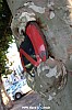 IMG_2316.JPG