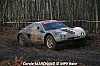 IMG_2894.JPG