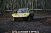 IMG_2895.JPG